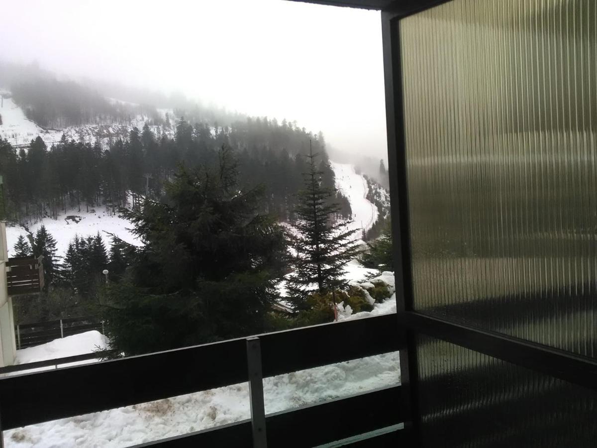 Appartement A La Montagne ,Vue Sur Les Pistes Ла-Бресс Екстер'єр фото